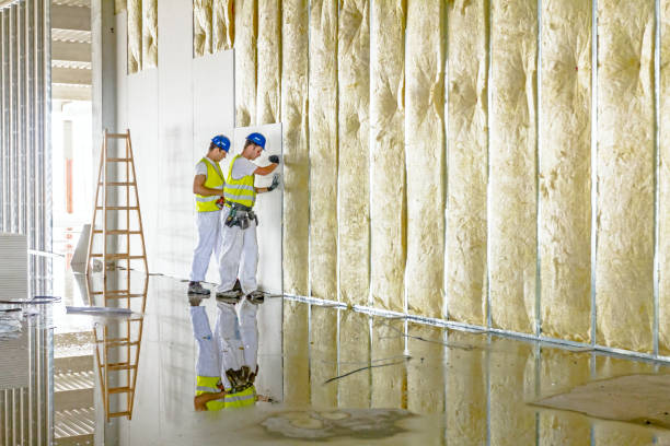 Best Wall Insulation Installation  in Nesquehoning, PA